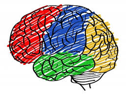 Internetowy kurs Podstawy psychologii Podstawy psychologii - kurs online