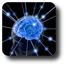 Internetowy kurs Psychoneuroimmunologia, czyli jak umysł wpływa na zdrowie Psychoneuroimmunologia, czyli jak umysł wpływa na zdrowie - kurs online