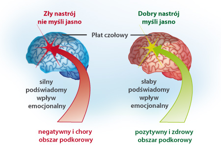 Kurs przez internet Psychoneuroimmunologia, czyli jak umysł wpływa na zdrowie Internetowy kurs Psychoneuroimmunologia, czyli jak umysł wpływa na zdrowie